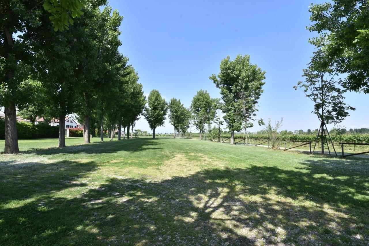 Campo San Martino Tenuta Le Risare B&B 외부 사진