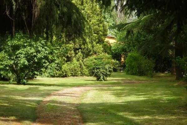 Campo San Martino Tenuta Le Risare B&B 외부 사진